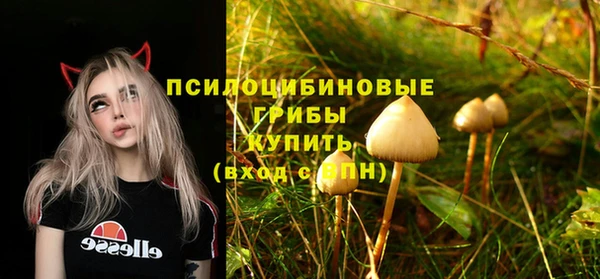 ГАЛЛЮЦИНОГЕННЫЕ ГРИБЫ Алексеевка